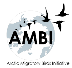 Logo AMBI