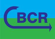 Logo Centre for Biodiversity Conservation Research