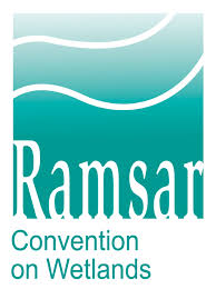 Logo Convention on Wetlands