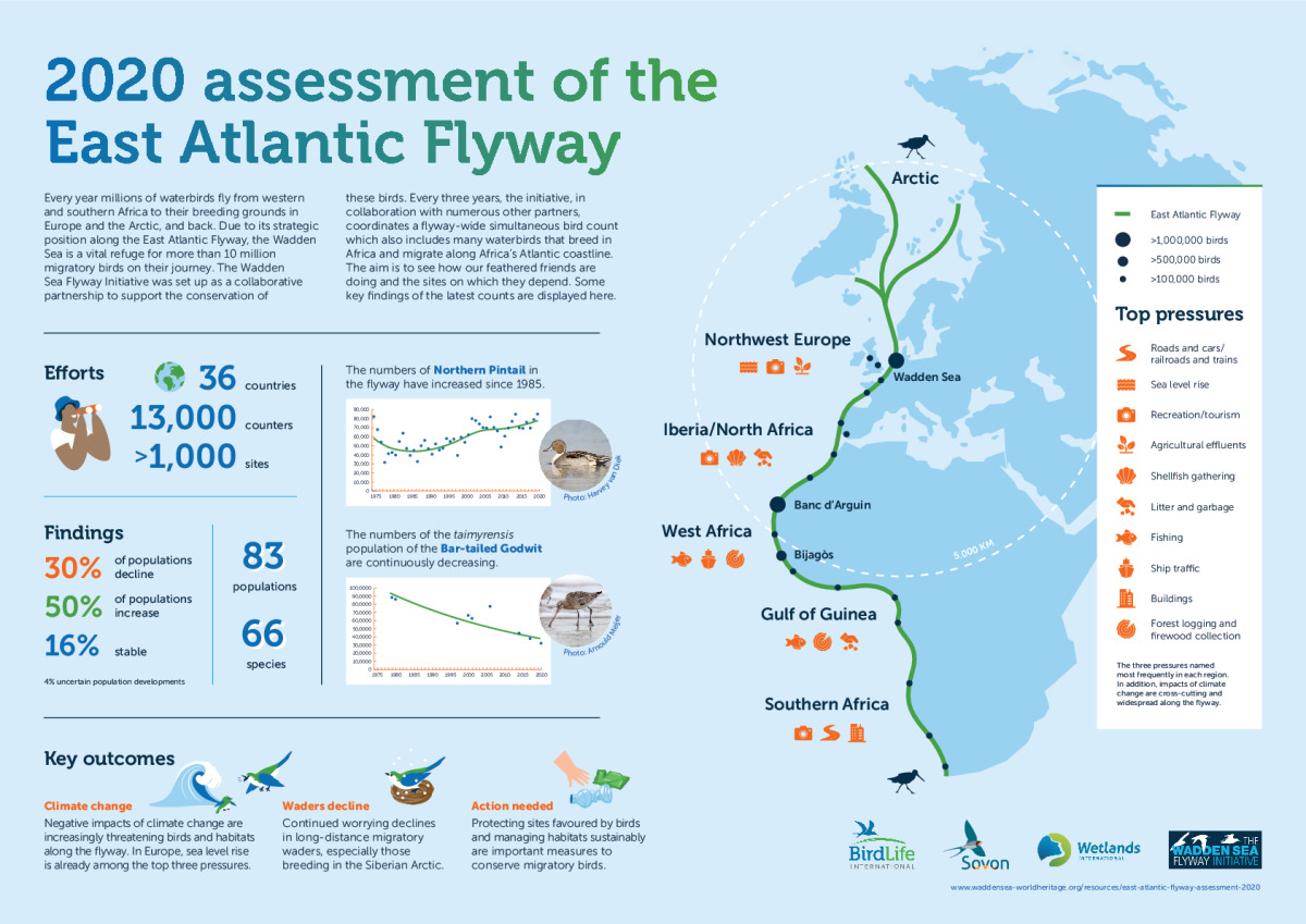 Poster: East Atlantic Flyway Assessment