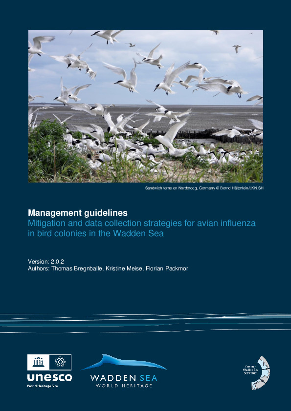 Management guidelines - Mitigation and data collection strategies for avian influenza in bird colonies in the Wadden Sea