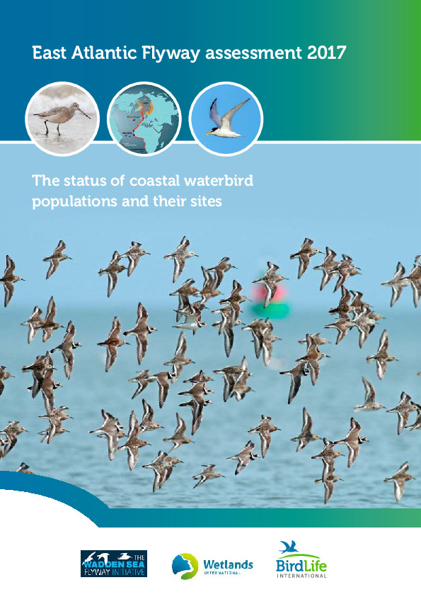 East Atlantic Flyway Assessment report 2017