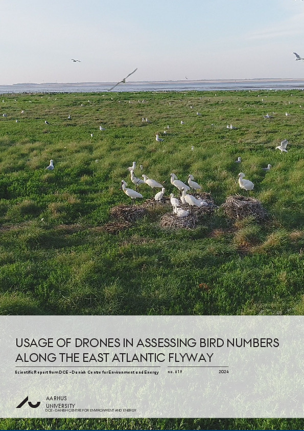 Usage of drones in assessing bird numbers along the East Atlantic Flyway