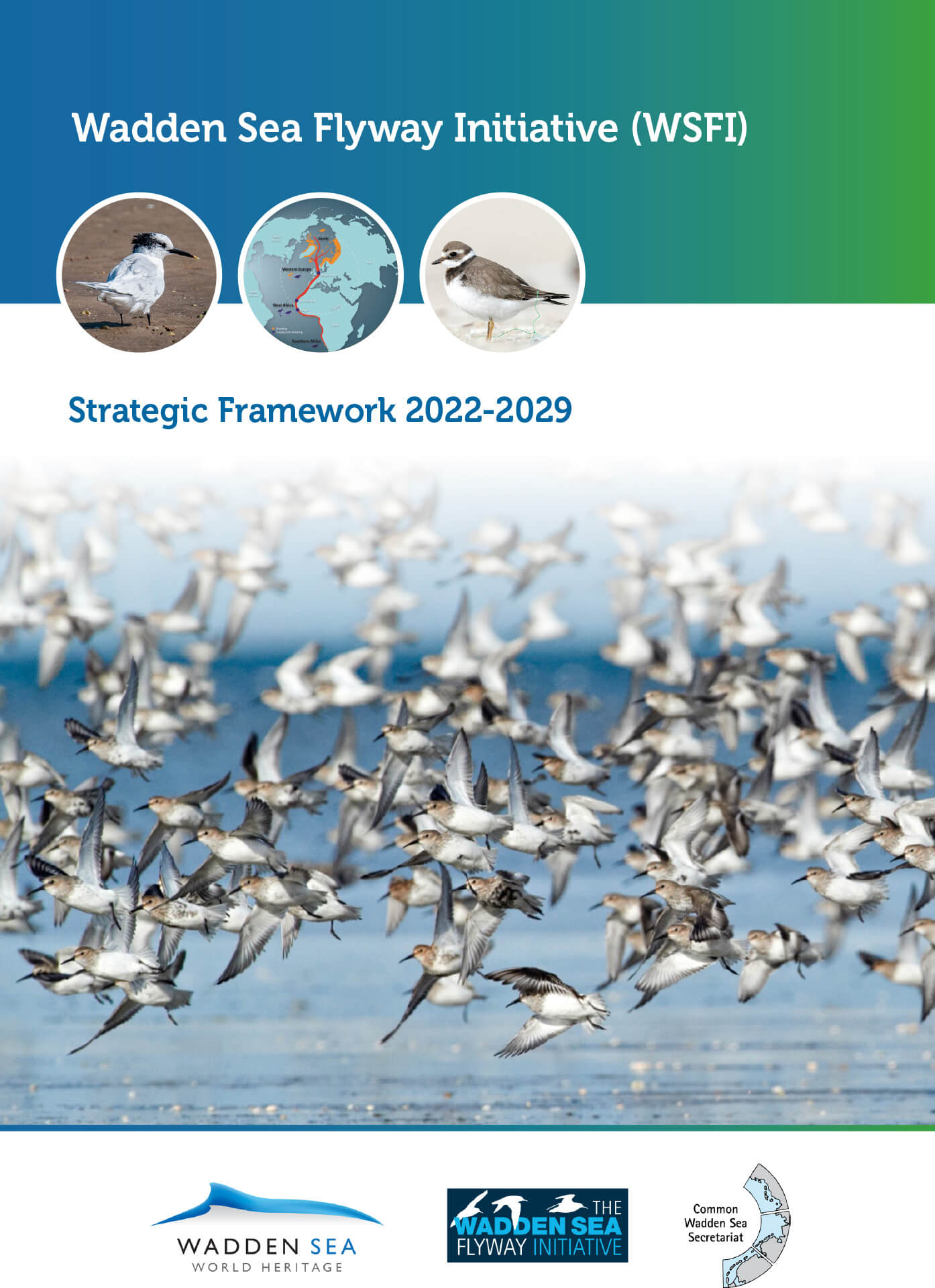  WSFI-Strategic-Framework-document-_-final-1 (1).jpg 