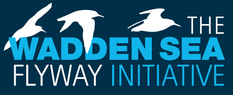 Wadden Sea Flyway Initiative (WSFI) logo